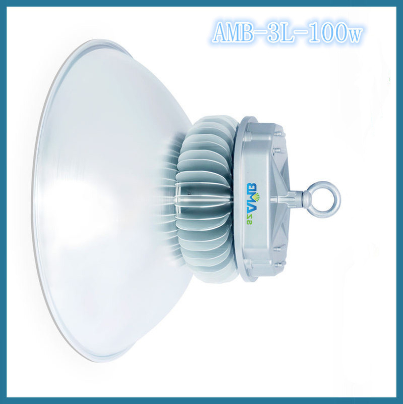 Waterproof AC 220V 100w High Lumens Led Highbay Lights With Bridgelux LED